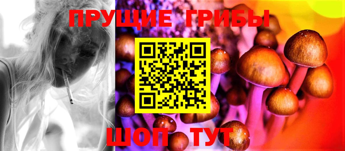 купить   Вход с VPN  Галлюциногенные грибы MAGIC MUSHROOMS  Йошкар-Ола  Галлюциногенные грибы ЛСД 