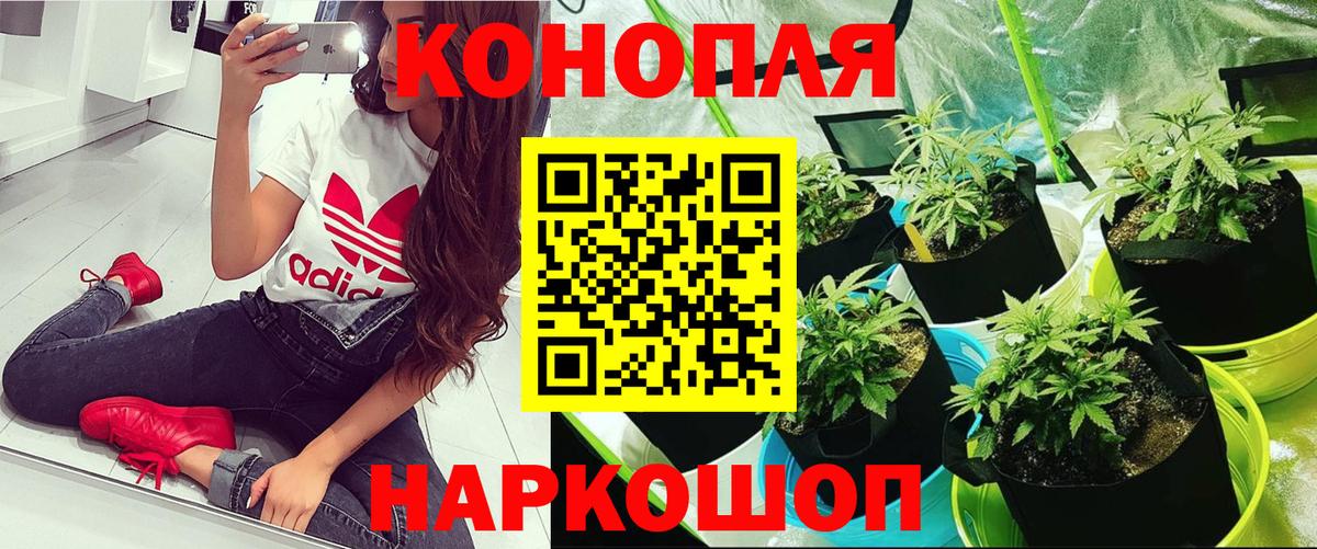 Шишки марихуана индика Йошкар-Ола